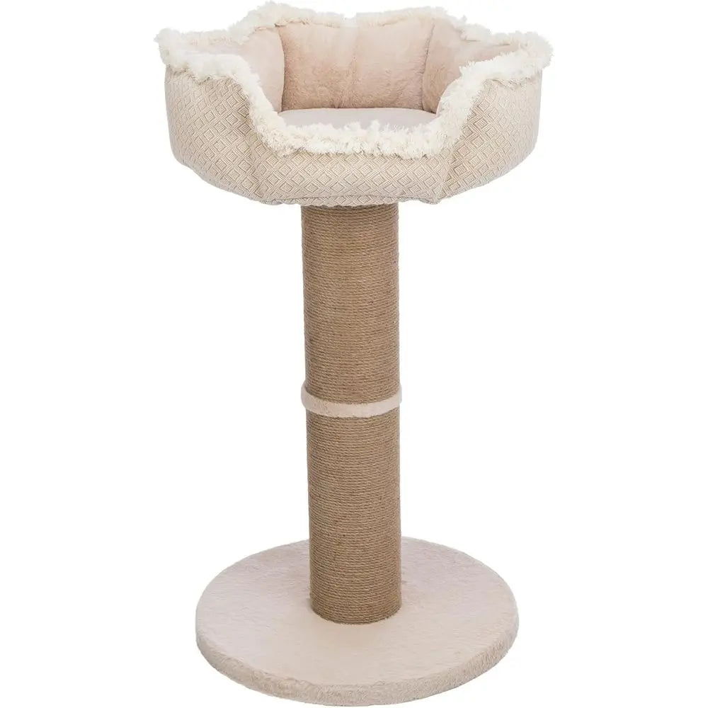 Cat Scratching Post