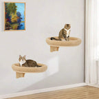 Wall Mounted Climbing Ladder
