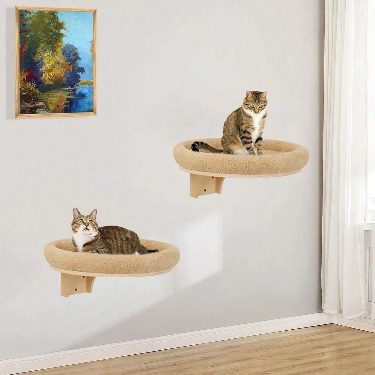 Wall Mounted Climbing Ladder