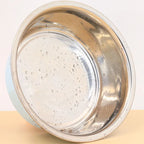 Stainless steel footprint dog bowl