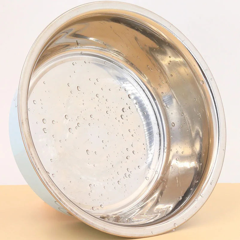 Stainless steel footprint dog bowl