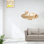 Wall Mounted Climbing Ladder