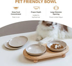 Raised Ceramic Cat Dishes