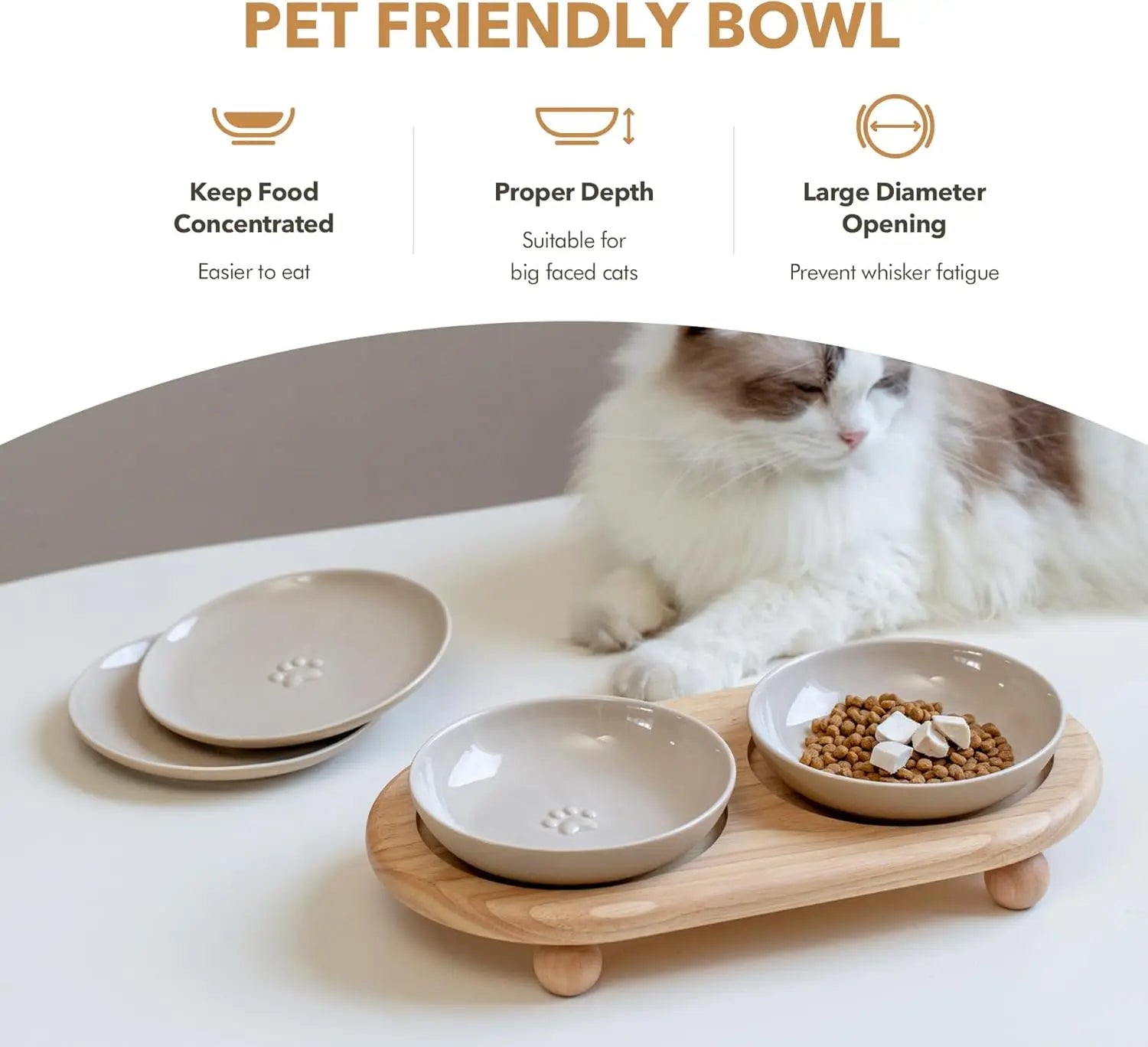Raised Ceramic Cat Dishes