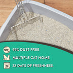 4-Pack Clumping Clay Litter
