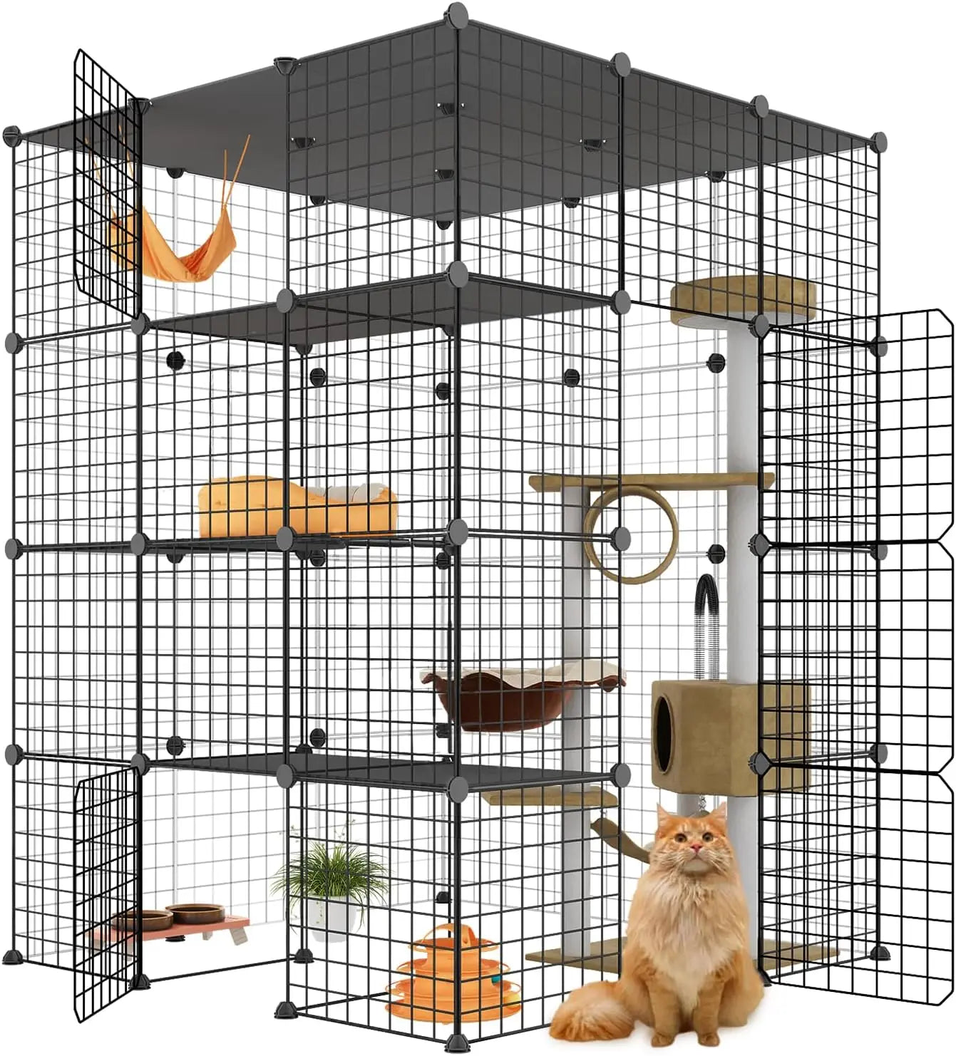 Large Cat Enclosure