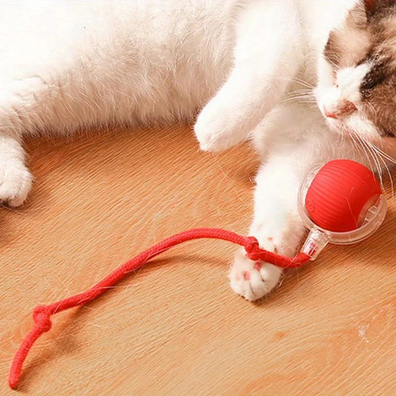 Automatic Interactive Cat Ball