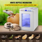 25L Reptile Incubator Scientific Lab