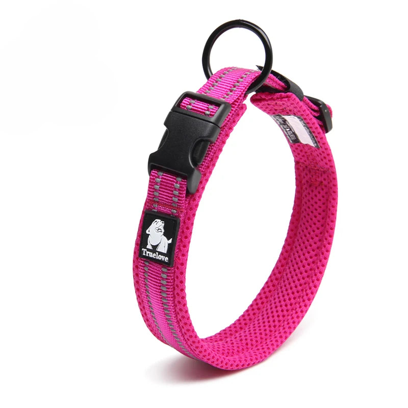 Dog Walking Collar with Buckle