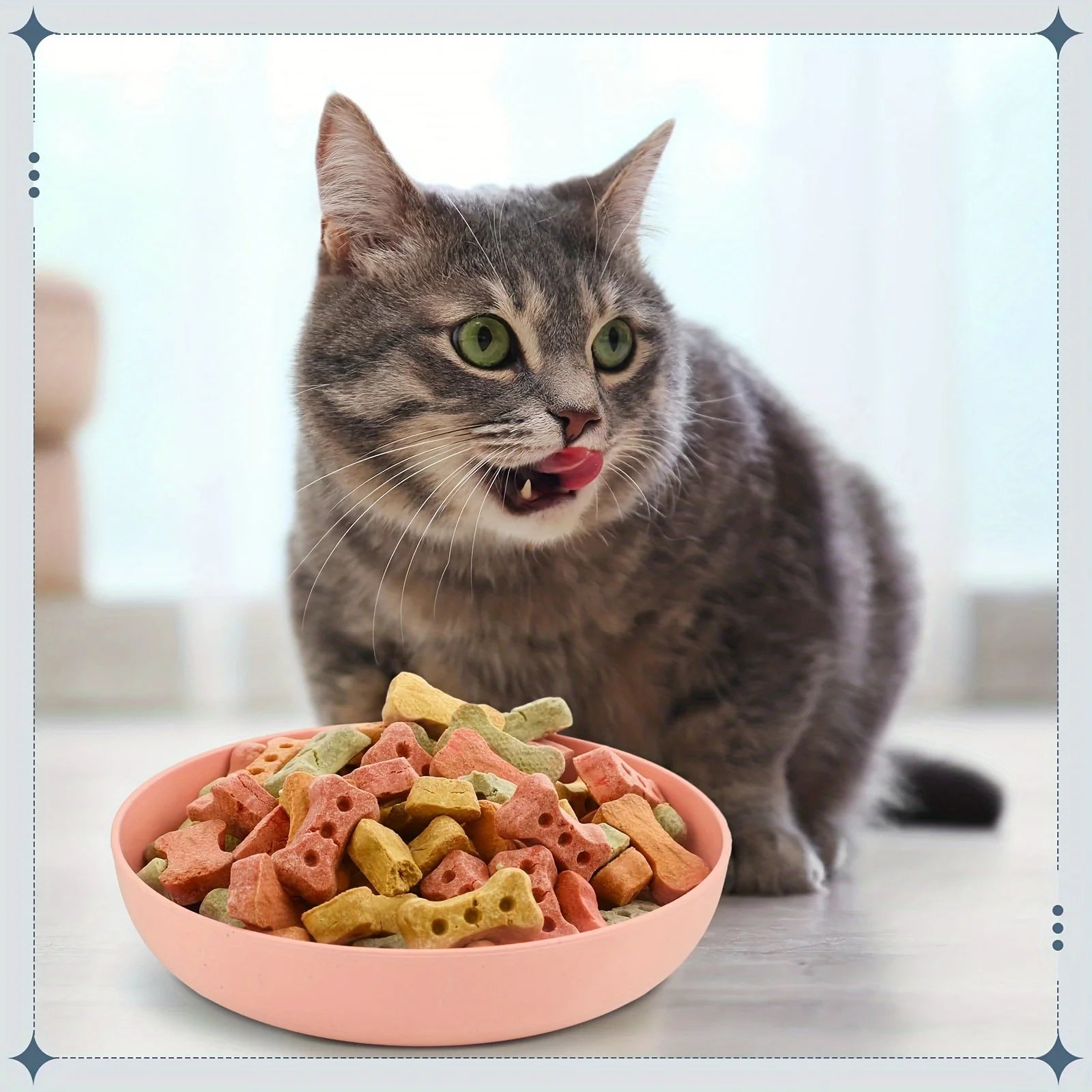 Pack of 4 whisker-friendly cat bowls