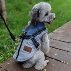 Winter Dog Jacket