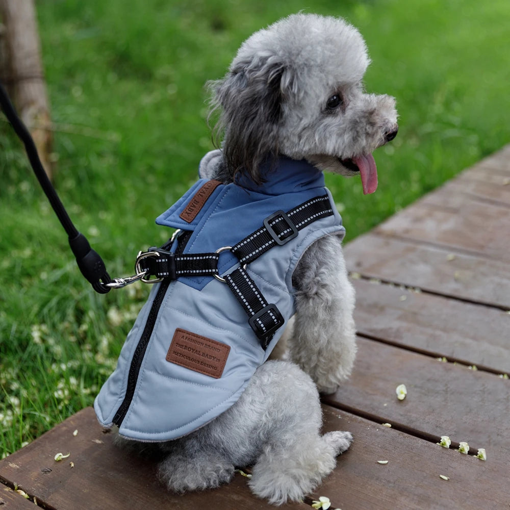Winter Dog Jacket