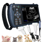 Veterinary Ultrasound Scanner