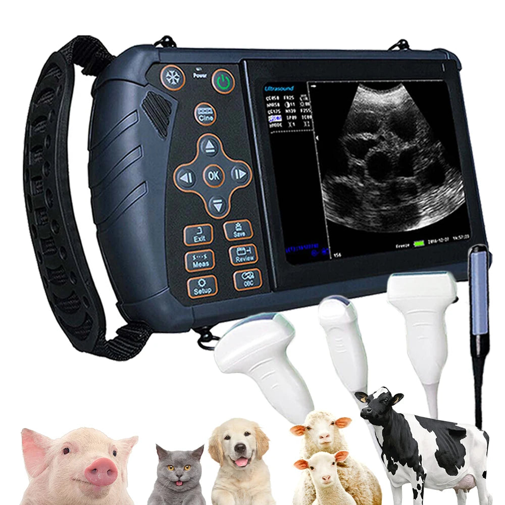 Veterinary Ultrasound Scanner