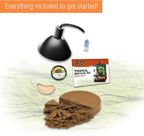 11 Gal Vertical Terrarium Starter Kit