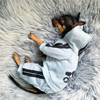 Dog Clothes Jumpsuit