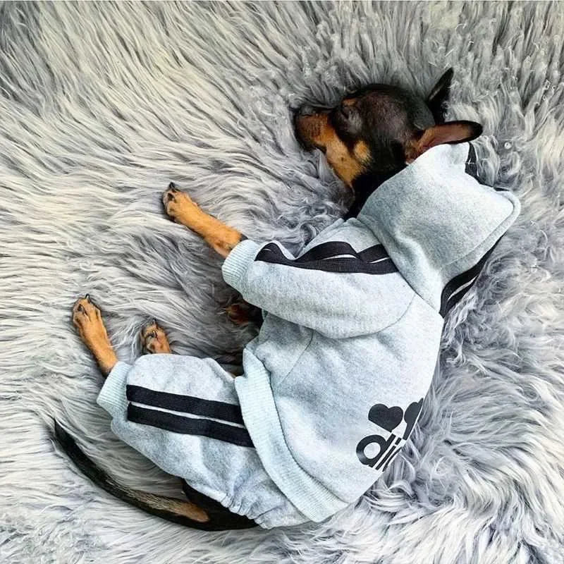 Dog Clothes Jumpsuit