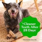 Vet Recommended Dental Treats