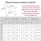 Strawberry Print Pet Dog Dress