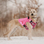 Military Pink Camouflage Harness