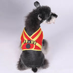 Pet Harness With Air-tag Tracker/Leash Set