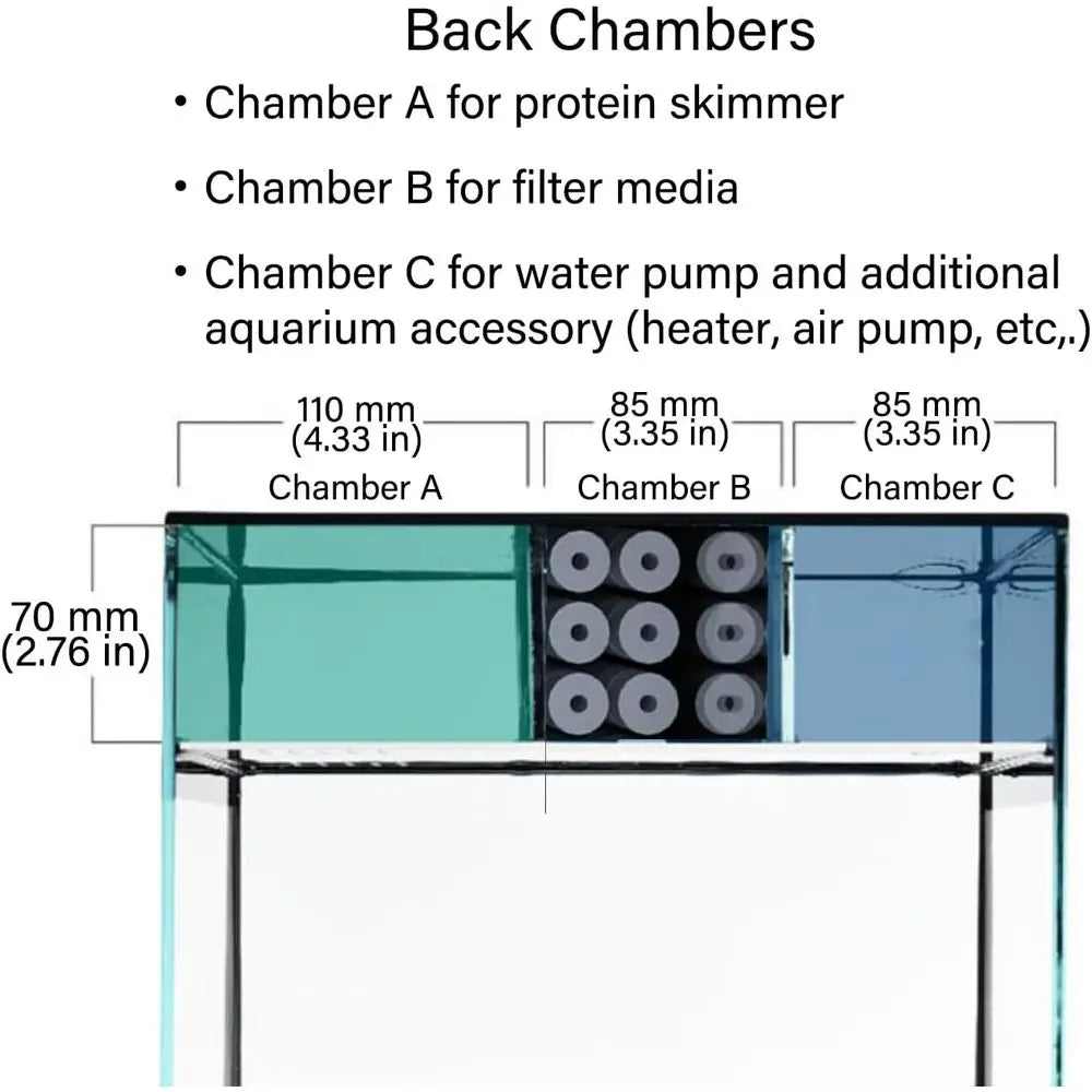 Curved Corner Saltwater Aquarium Rimless