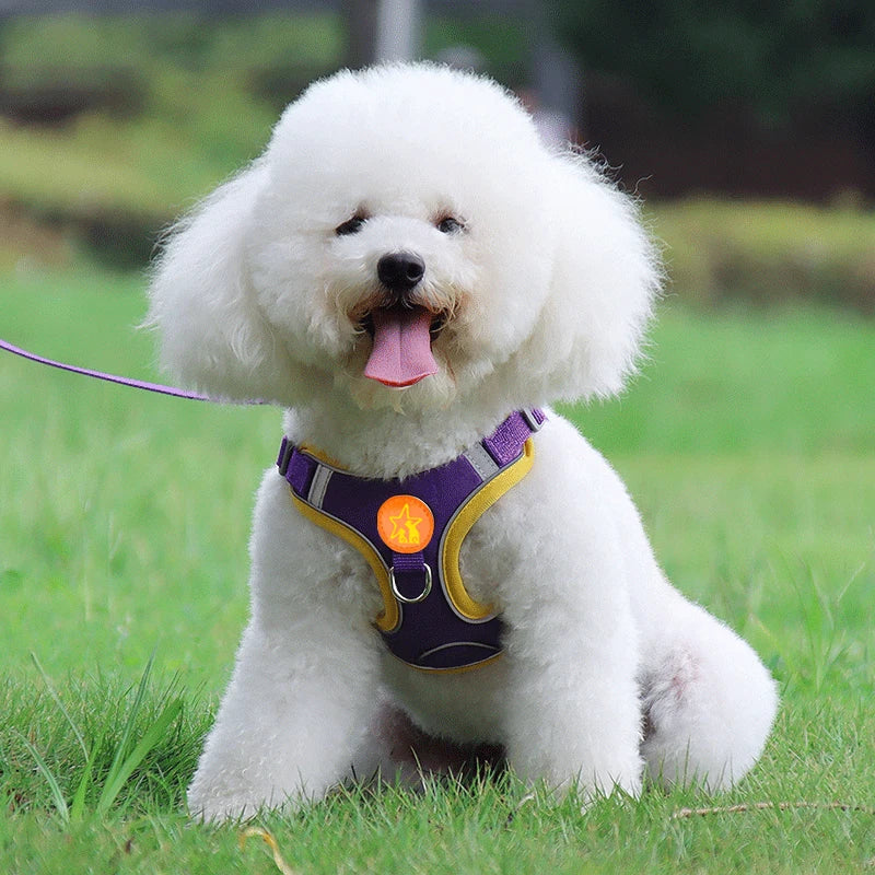 S/M Dogs Harness Vest
