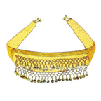Corgi Belly Dance Belt Skirt