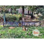 Large Tent Enclosures/Small Animals