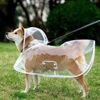 Pet Raincoat Windproof Clothing