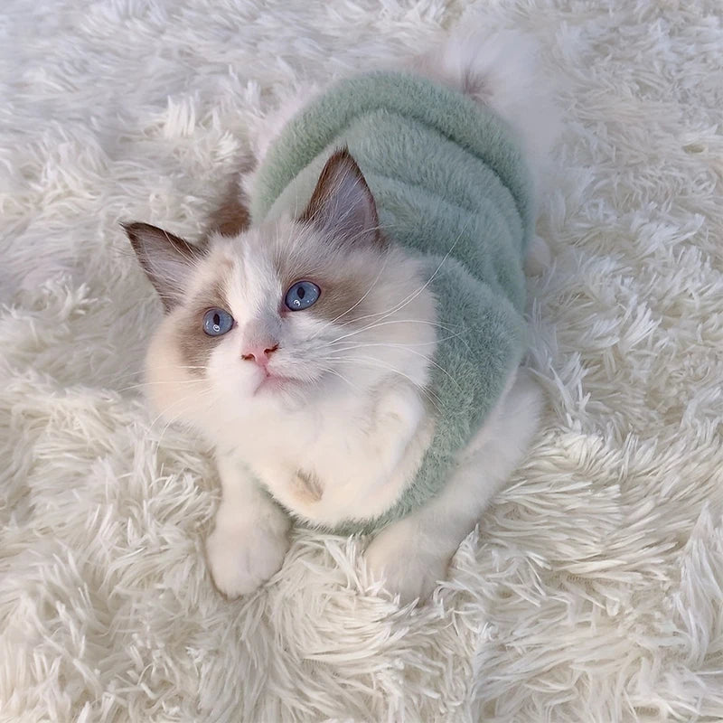 Cats Warm Kittens Clothes