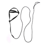 Bird Harness/Leash Activities