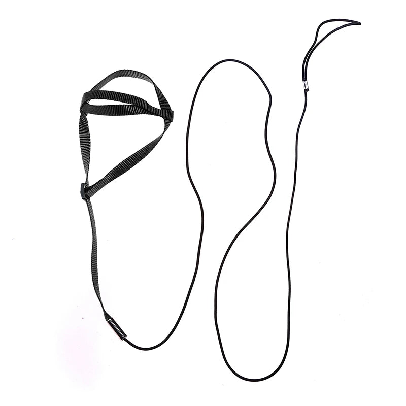 Bird Harness/Leash Activities
