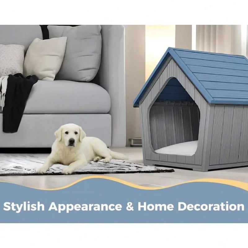 Dog House