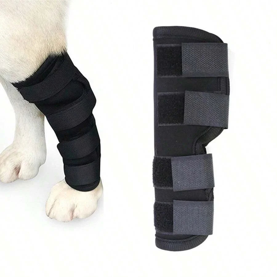 Prevent Chew Licking Hock Joint