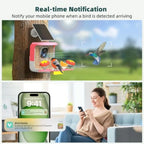 Smart Bird Feeder