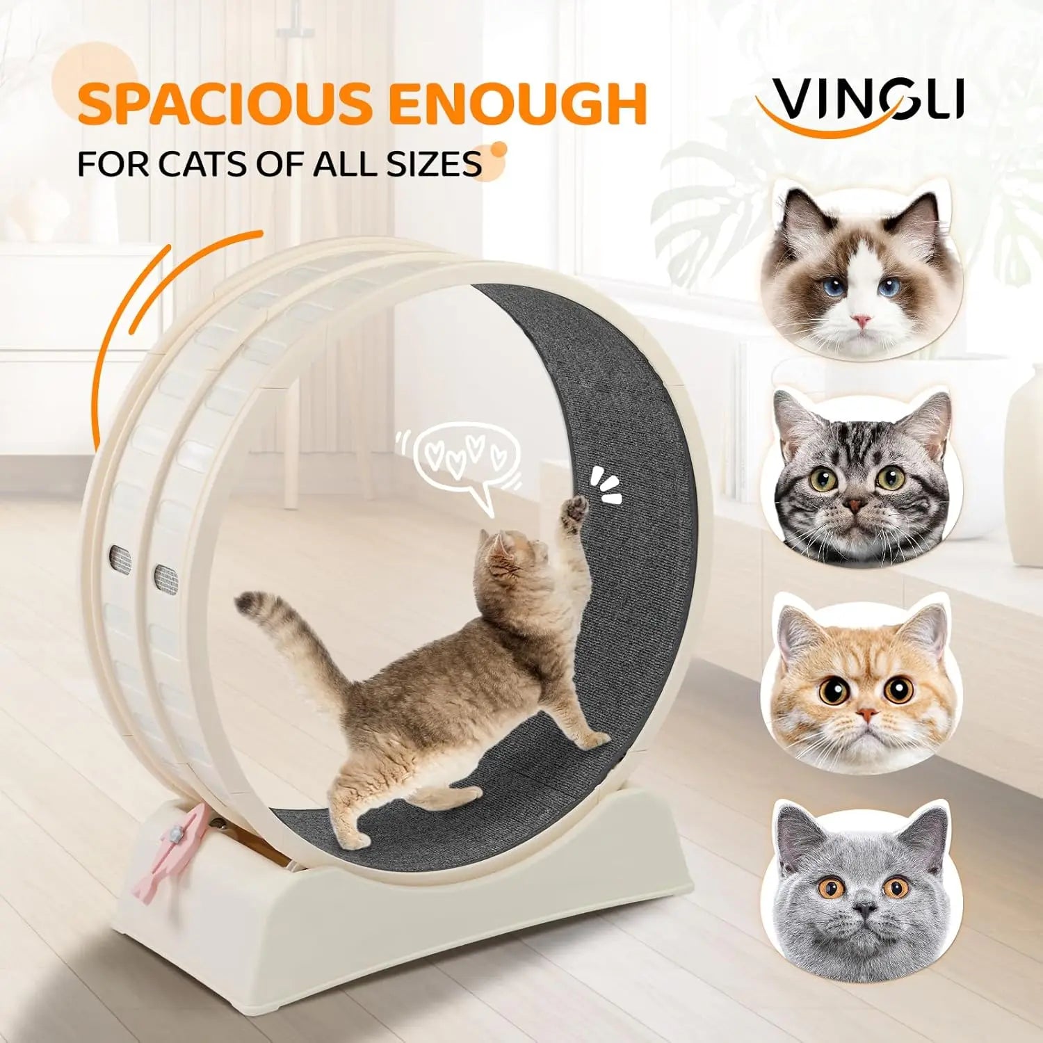 Cat Exercise Wheel, Treadmill