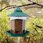 Wild Bird Feeder
