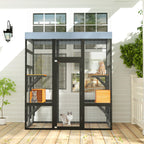 Large Cat Enclosure
