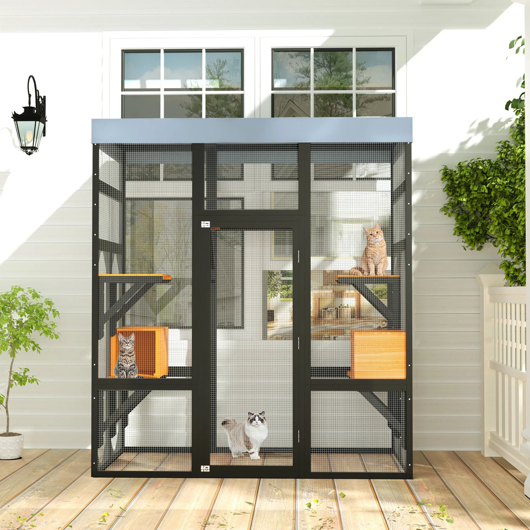 Large Cat Enclosure