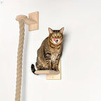 Cat Tree with Climbing Rope