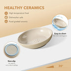 Raised Ceramic Cat Dishes