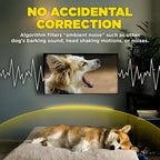 NOBARK Detects Whining and Barking
