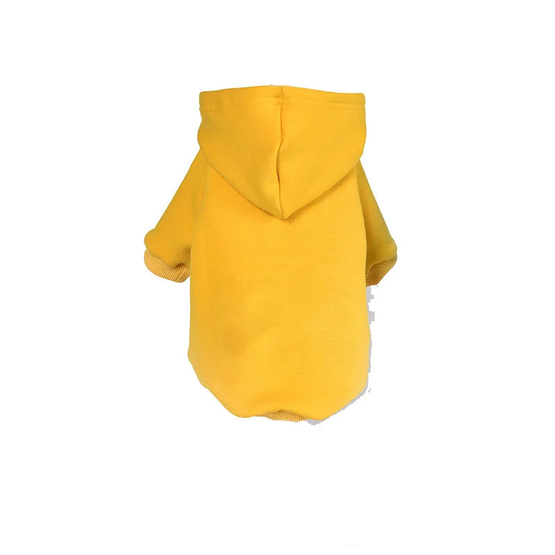 Winter Dog Clothes