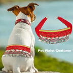 Corgi Belly Dance Belt Skirt