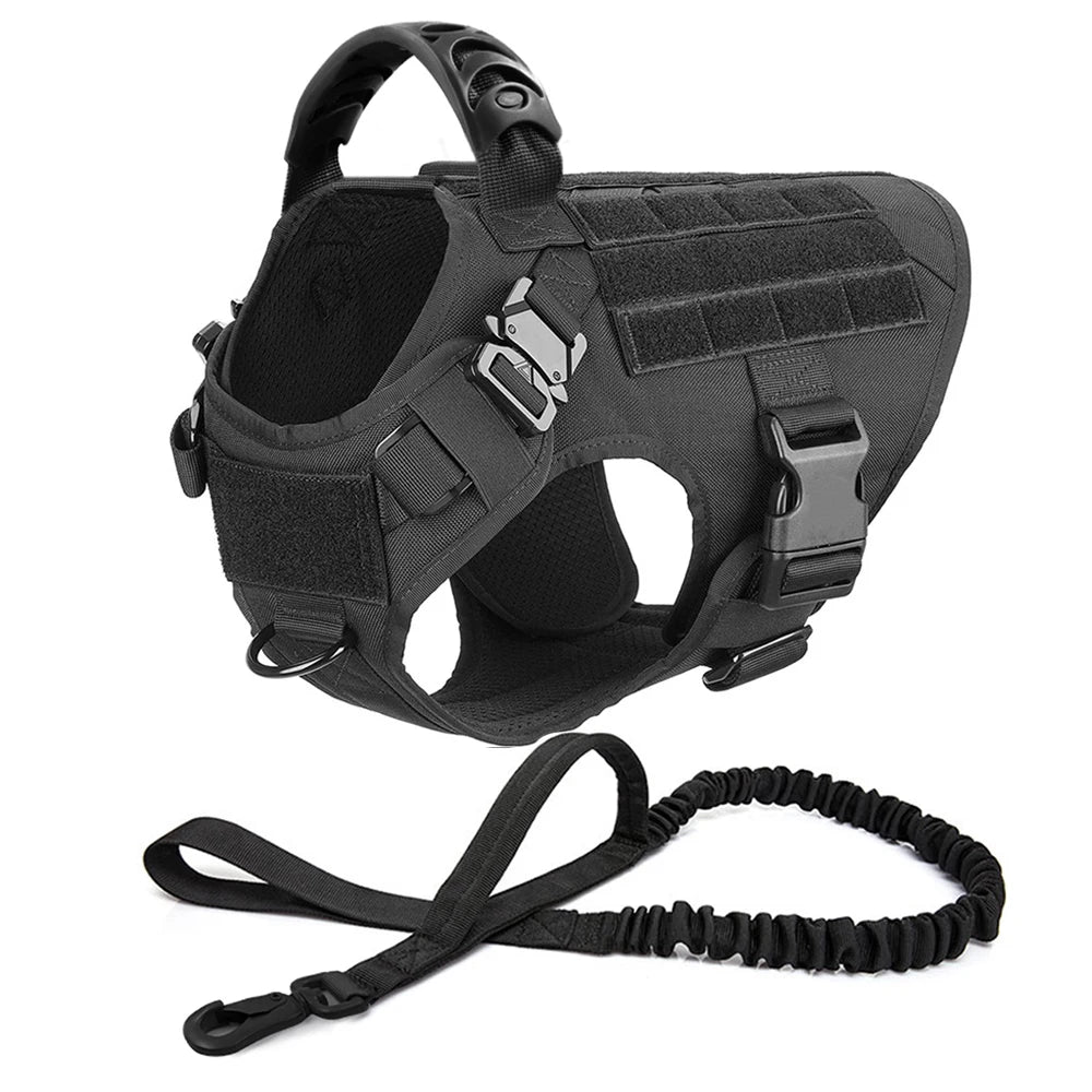 Large Dog Harness/Leash Set