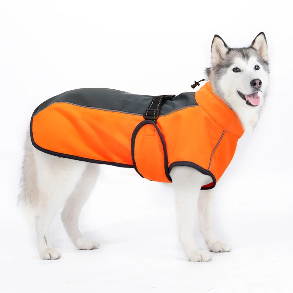 Warm Big Dog Clothes