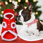Christmas Pet Clothes