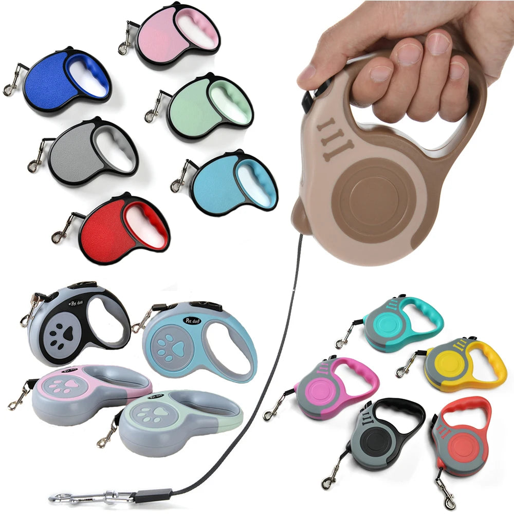Dog Leash Automatic Pet Collar