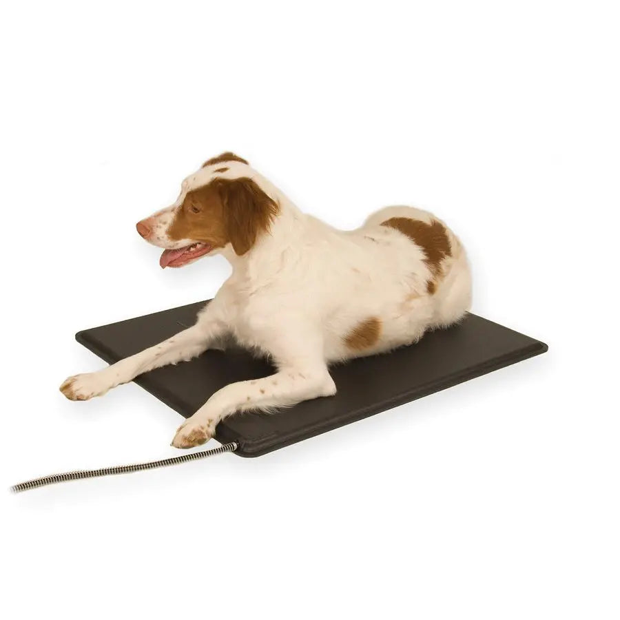 Heated Outdoor Dog Pad